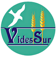 Logo_VidesSur