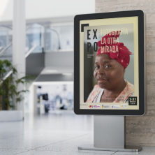 EXPOSICIÓN DE VIDES EN TORRENT