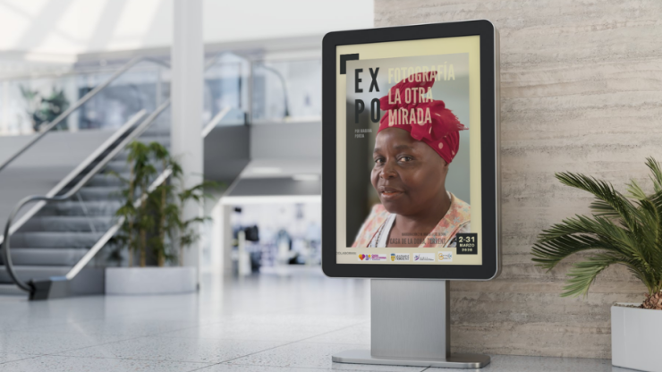 EXPOSICIÓN DE VIDES EN TORRENT