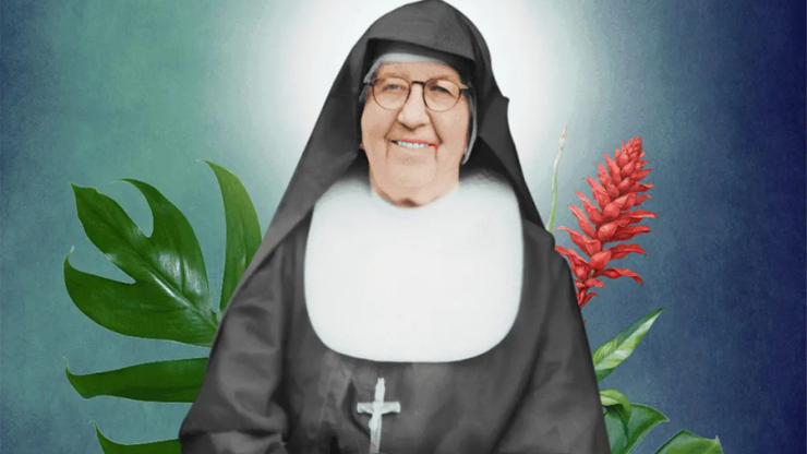 LA HERENCIA DE SANTA MARÍA TRONCATTI
