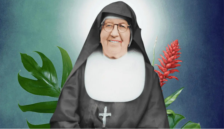LA HERENCIA DE SANTA MARÍA TRONCATTI