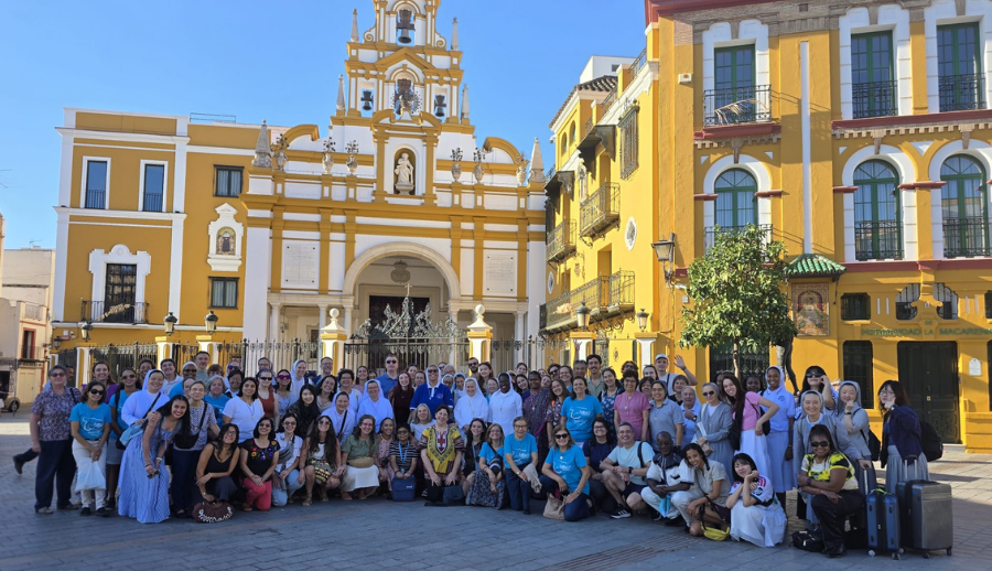 TERMINA EL CONGRESO DE VIDES EN SEVILLA