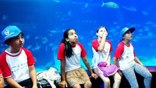 250814-Boscoverano-Canaria-Main-2