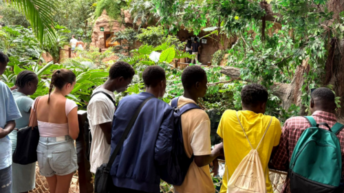 250814-Boscoverano-Canaria-Main-8