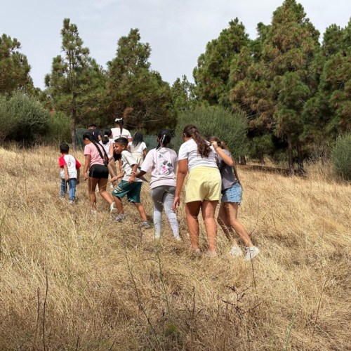 260727-Boscoverano-Canaria-Main-5
